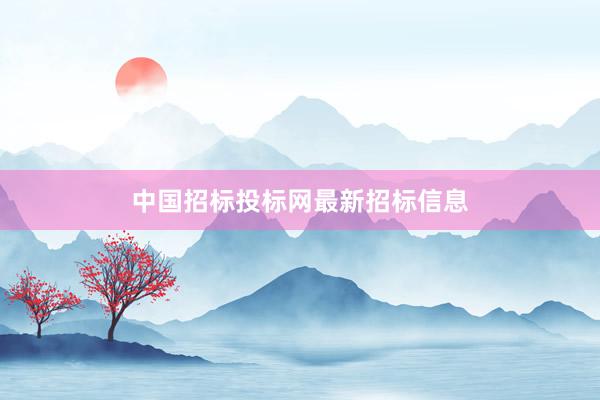 中国招标投标网最新招标信息